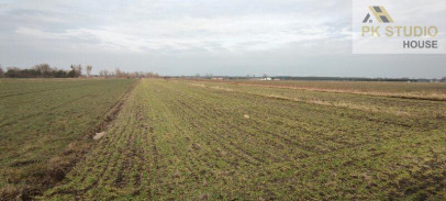 Działka Sprzedaż Miedziana