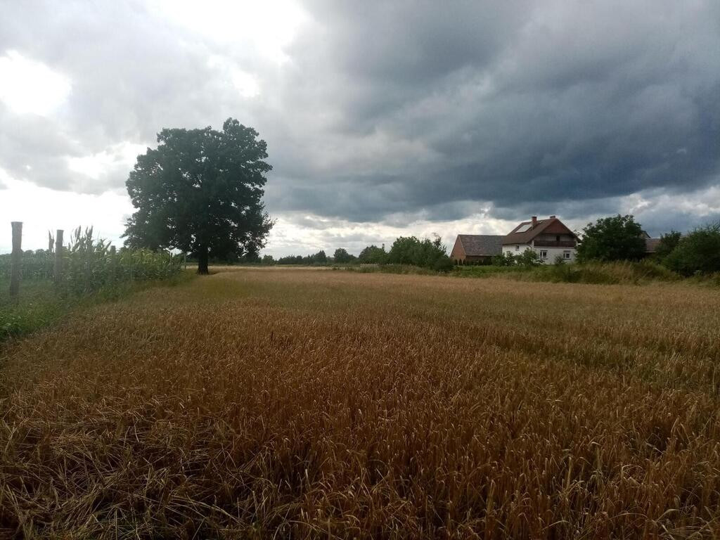 Działka Sprzedaż Kępa