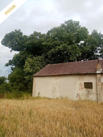 Dom Sprzedaż Kępa Opolska 24