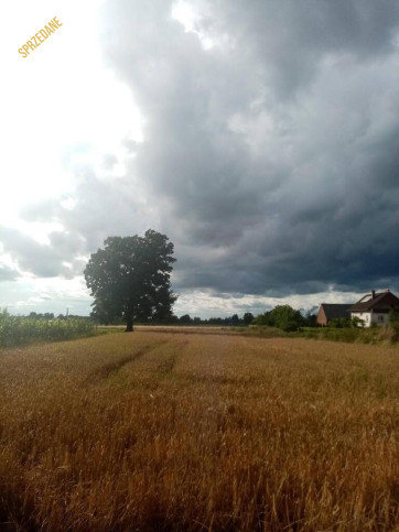 Dom Sprzedaż Kępa Opolska 26