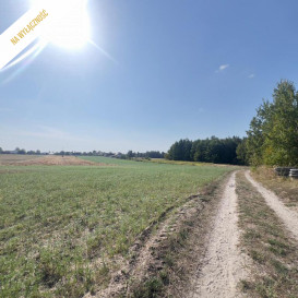 Działka Sprzedaż Stare Siołkowice