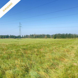 Działka Sprzedaż Stare Siołkowice
