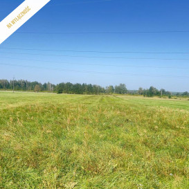 Działka Sprzedaż Stare Siołkowice