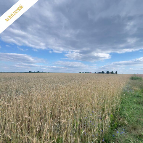 Działka Sprzedaż Bierdzany 4