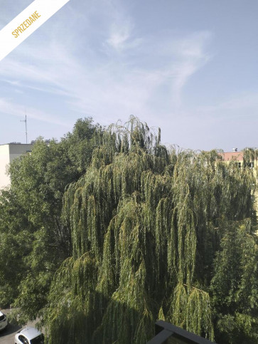 Mieszkanie Sprzedaż Opole 15