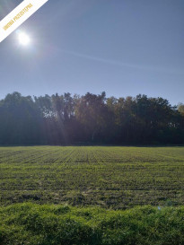 Działka Sprzedaż Ziemiełowice