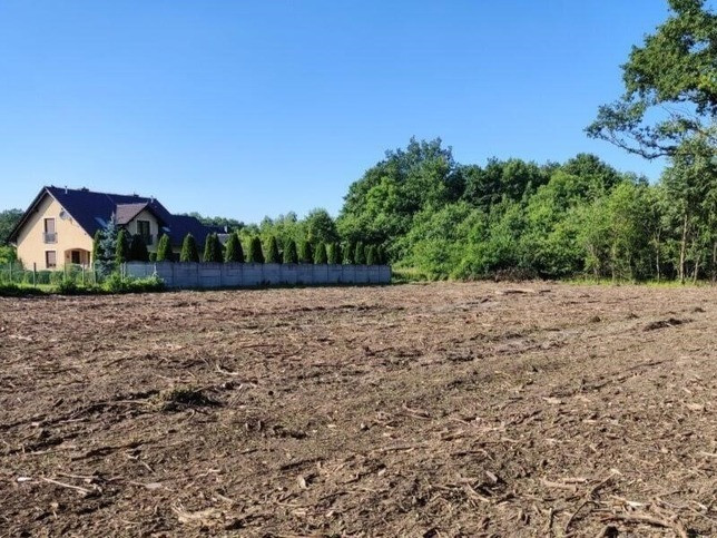 Działka Sprzedaż Dąbrowa