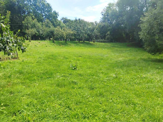Działka Sprzedaż Leśnica 4